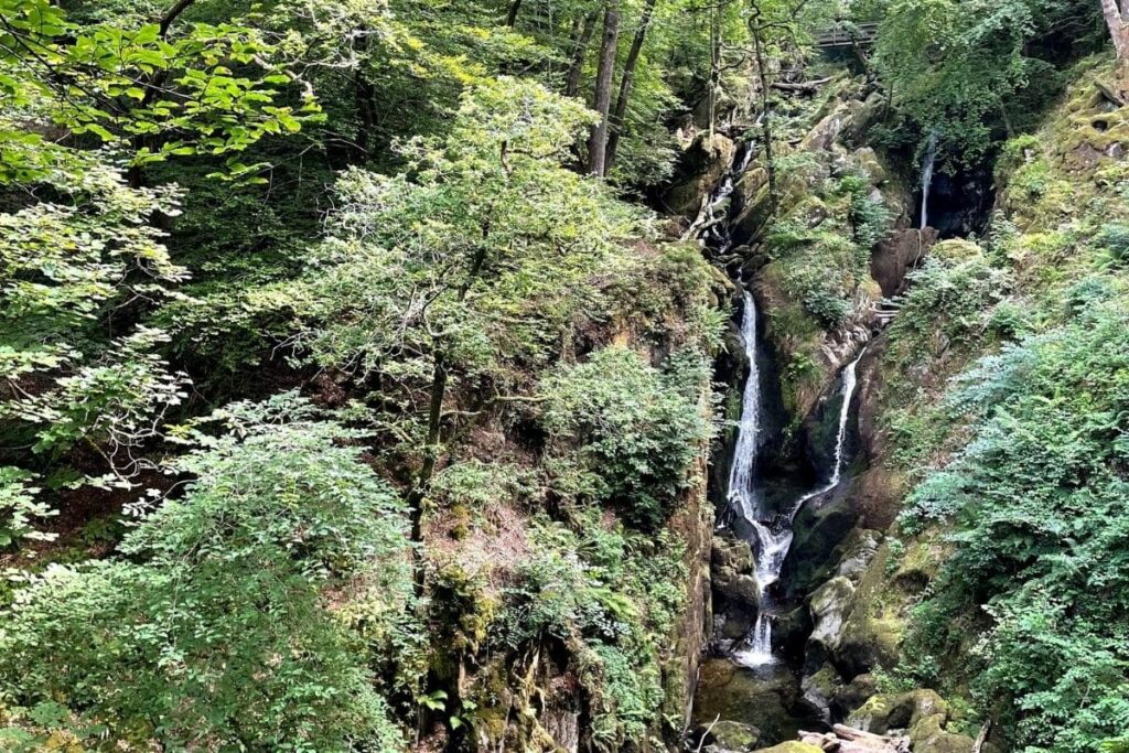 easy walks in the lake district