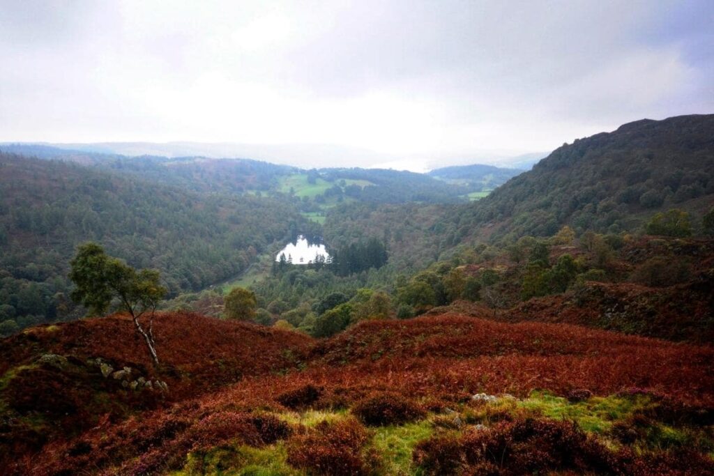 wild swimming in the lake district