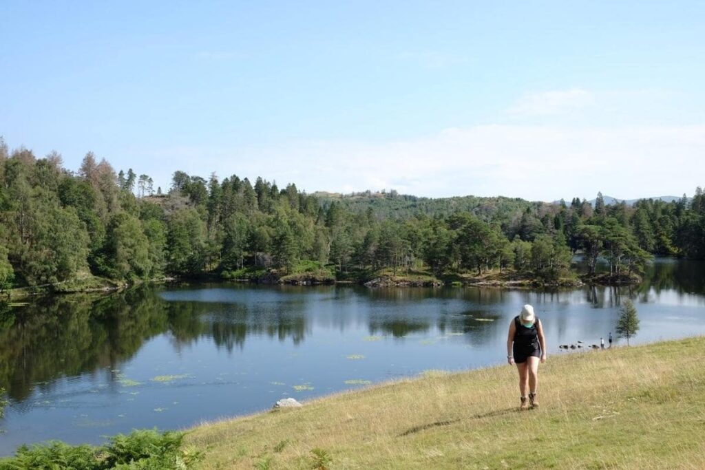 wild swimming in the lake district