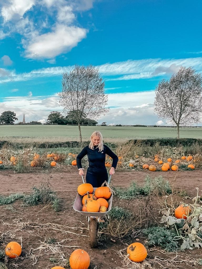19 Pumpkin Picking Patches Near London: Updated For 2023