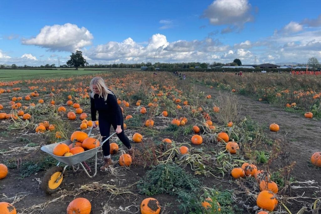 pumpkin picking near London