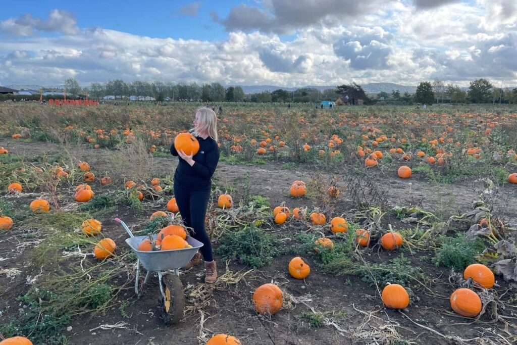 Where are the best places to go pumpkin picking near London