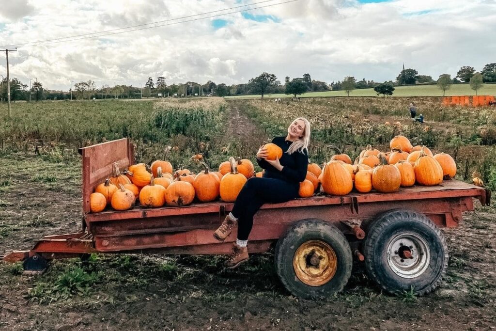 Where are the best places to go pumpkin picking near London
