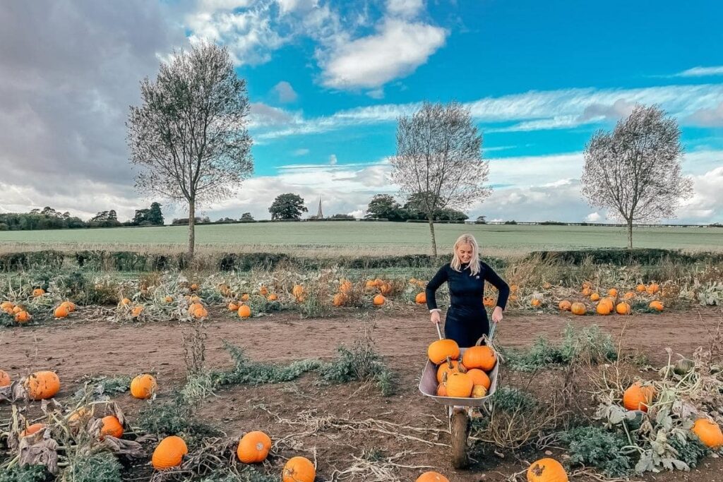 pumpkin picking near London