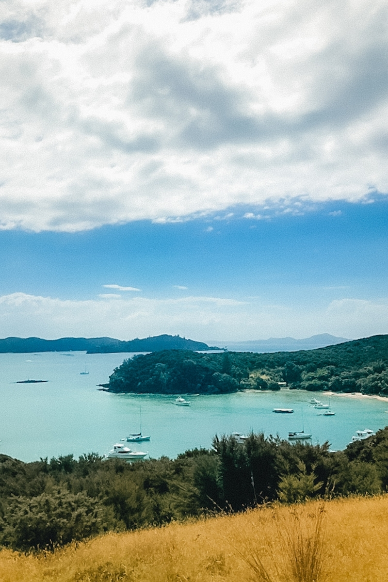 view over abel tasman