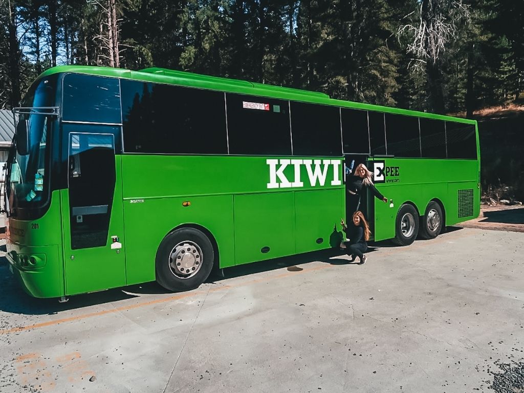 kiwi experience bus in new zealand