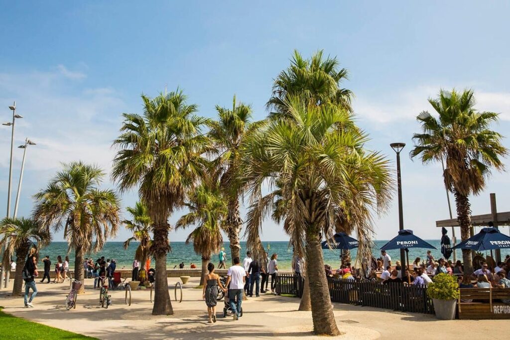 st kilda trees on st kilda beach