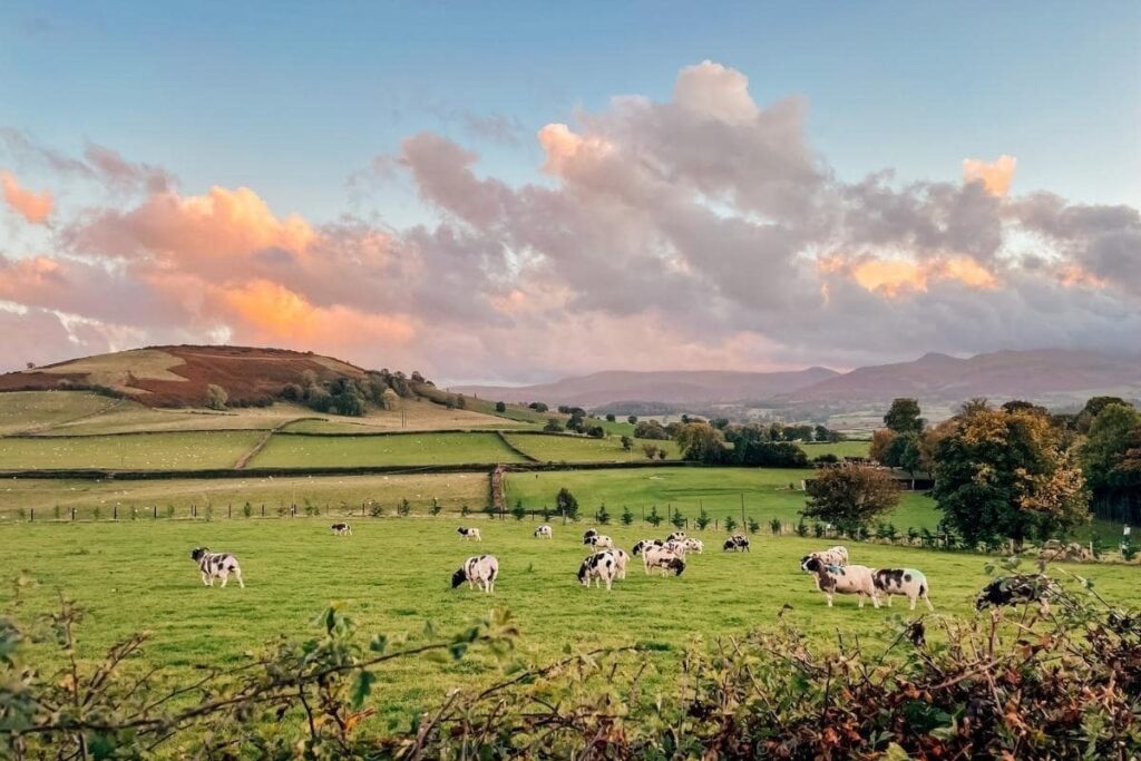 wales road trip 