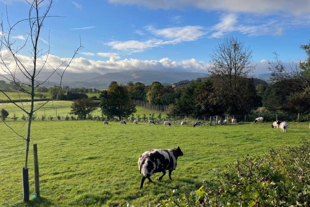 wales road trip 