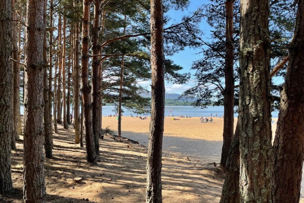 things to do in aviemore