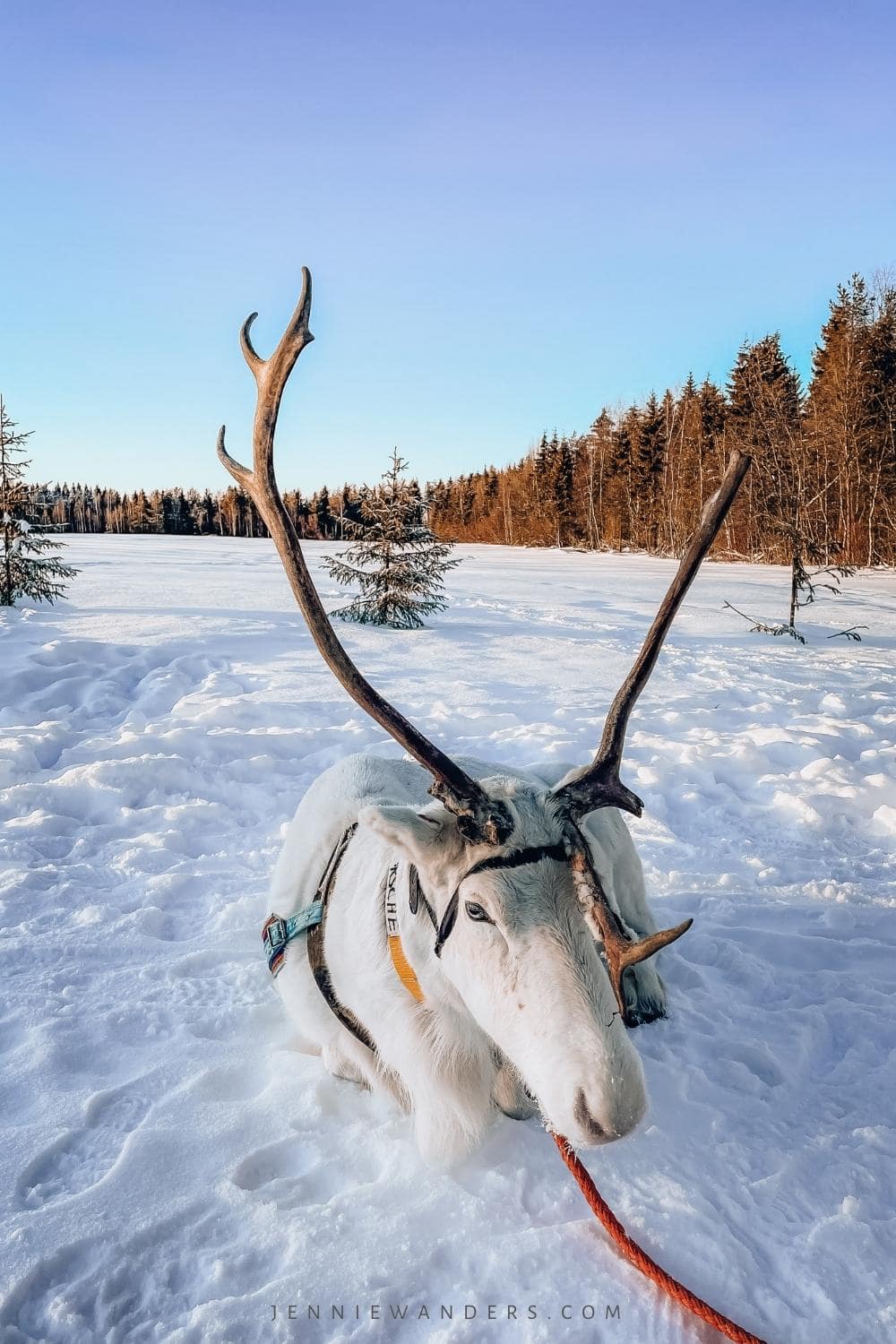 things to do in rovaniemi finland