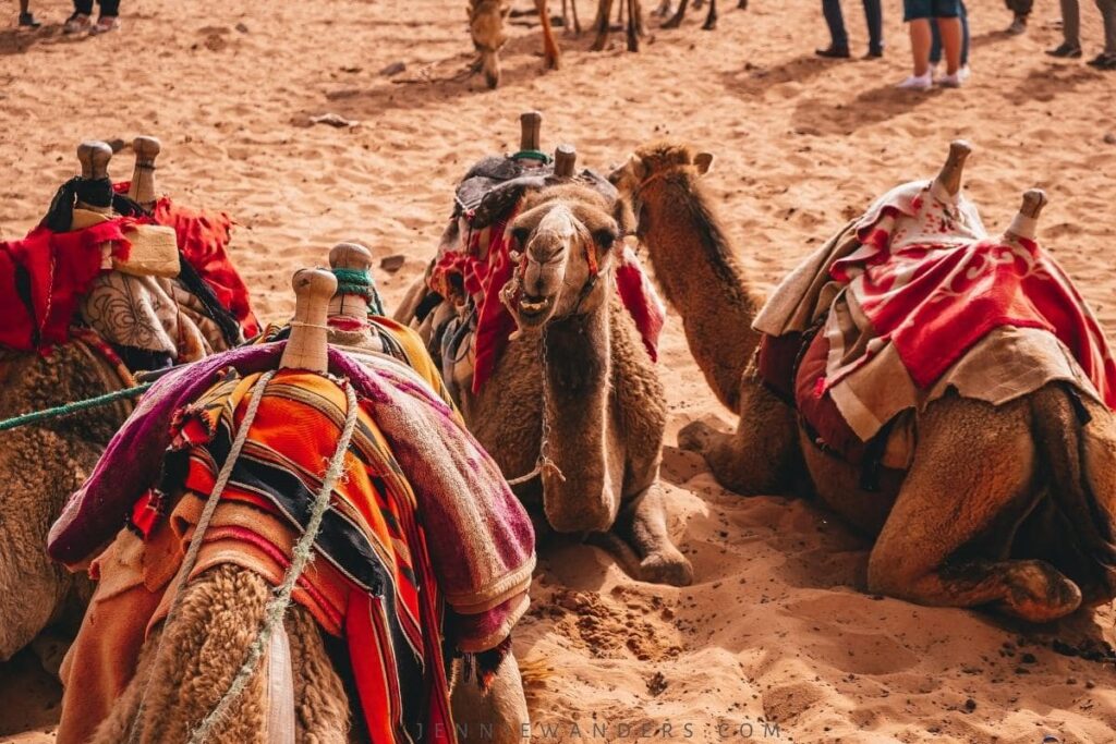 tipping in jordan