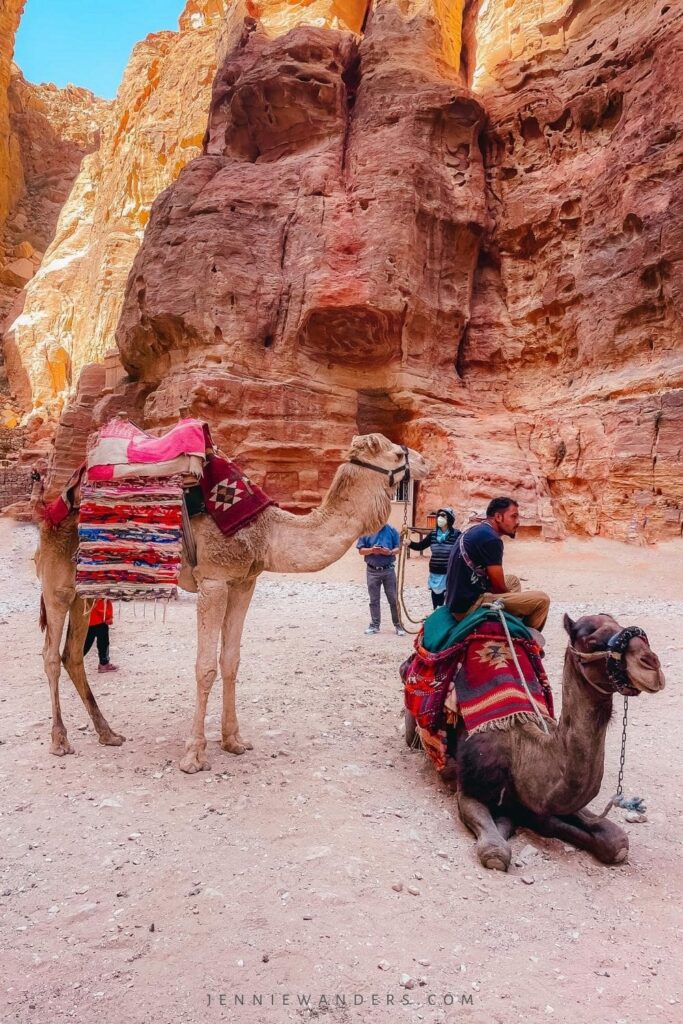 where to stay in petra