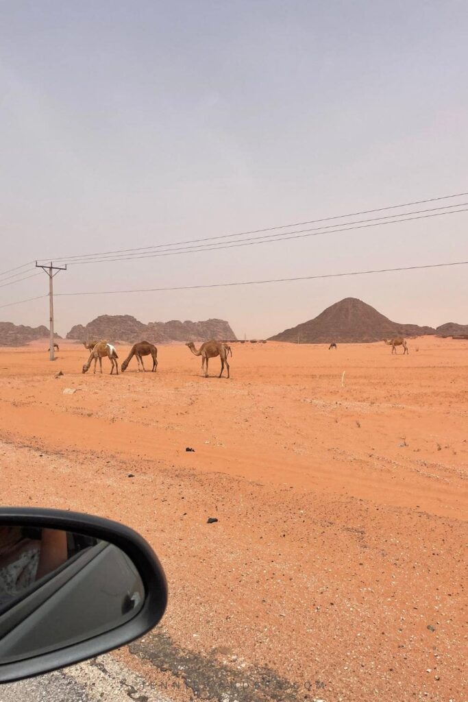 driving in jordan