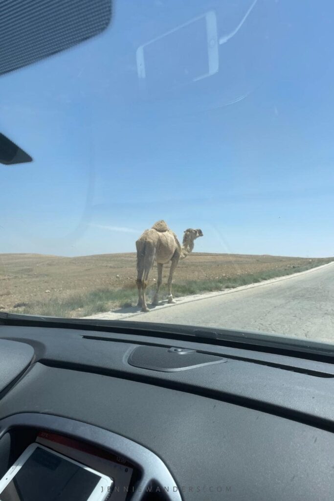 Driving in Jordan: Is It Safe?