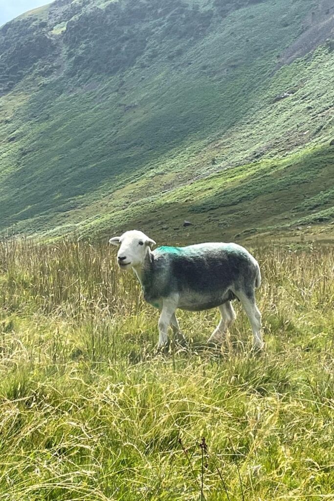 Scafell Pike from Langdale route