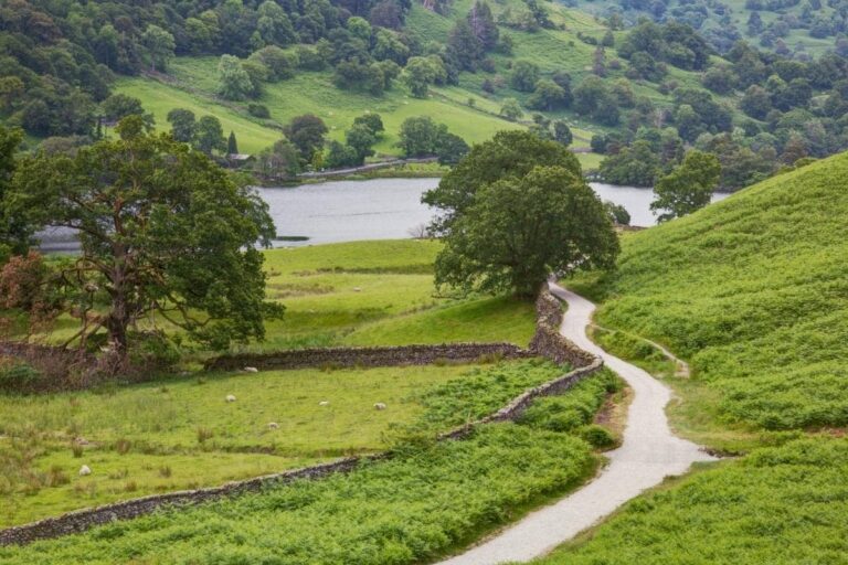 9 Easy Walks in the Lake District (That Still Have Incredible Views)