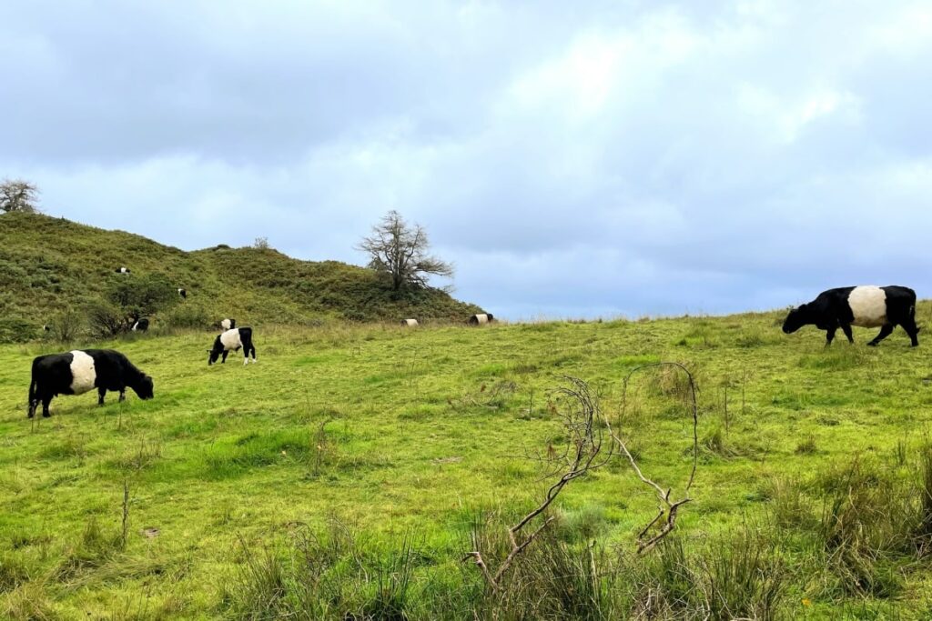 Easy walks in the Lake District