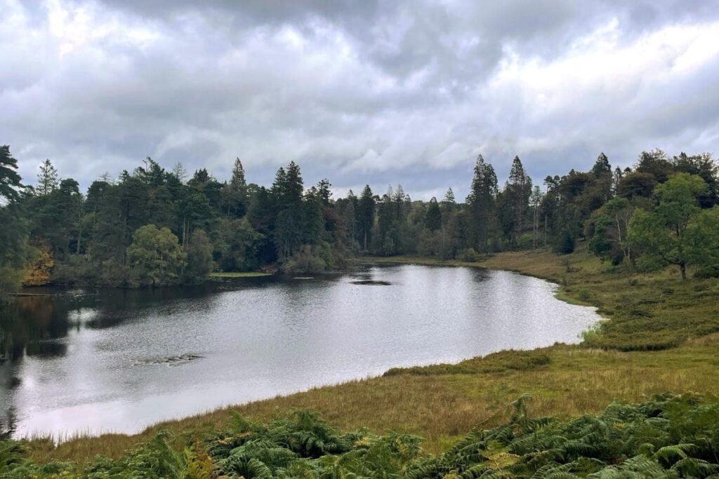 easy walks in the lake district