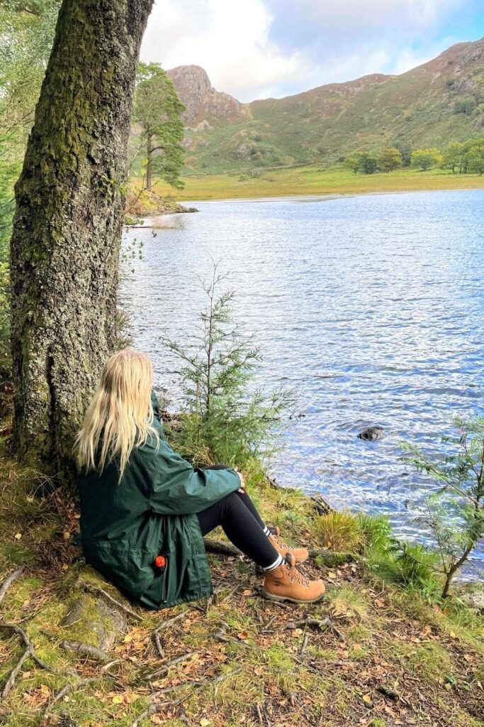 easy walks in the lake district