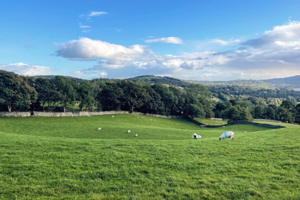 Lake District without a car