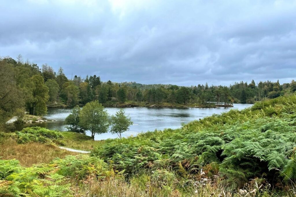 Tarn Hows Walk