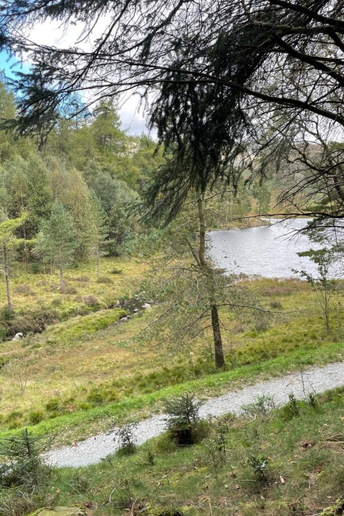 blea tarn walk