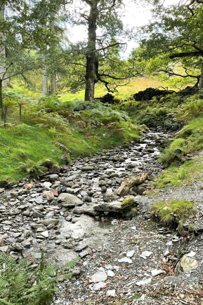 loughrigg fell from ambleside