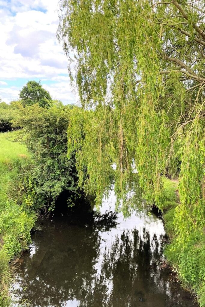 Walks near Putney