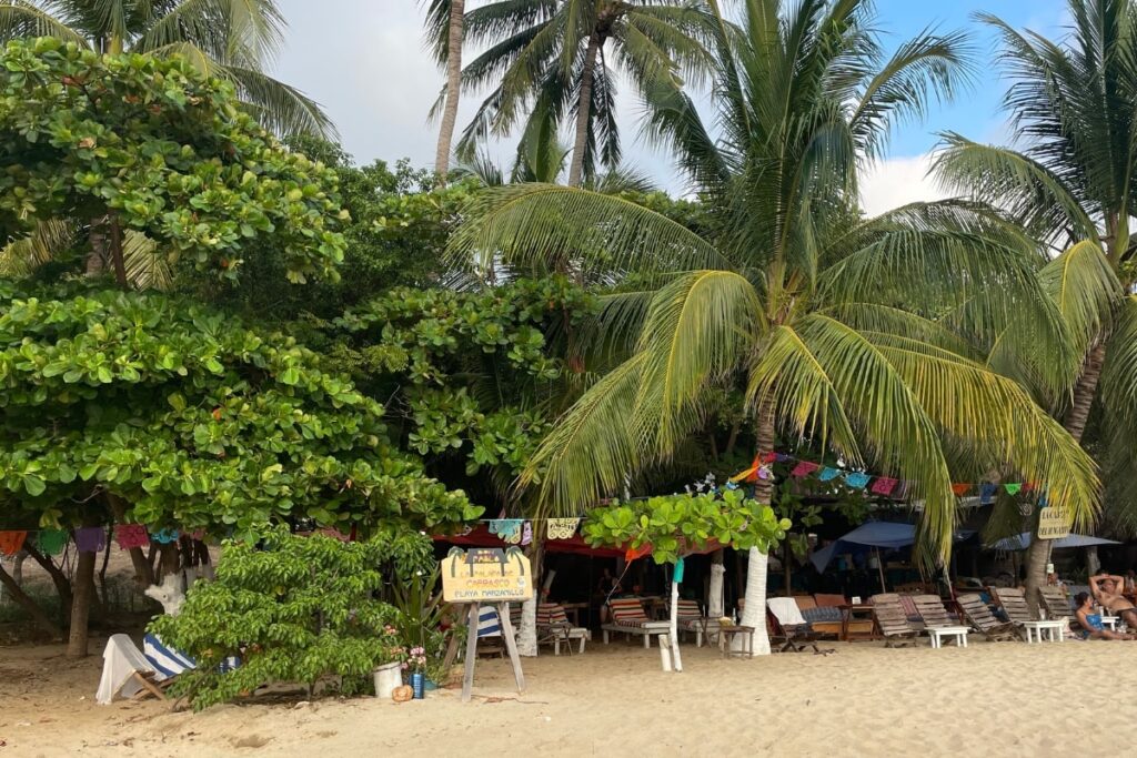 Playa Manzanillo