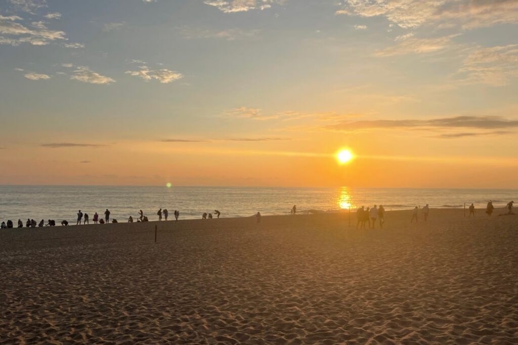 Turtle Release Puerto Escondido