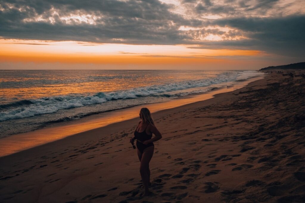 Turtle Release Puerto Escondido