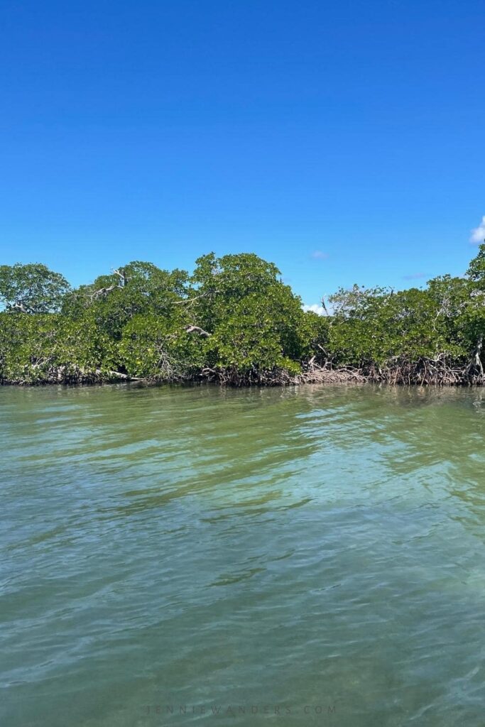 Sian Ka'an Biosphere Reserve, Backpacking Mexico