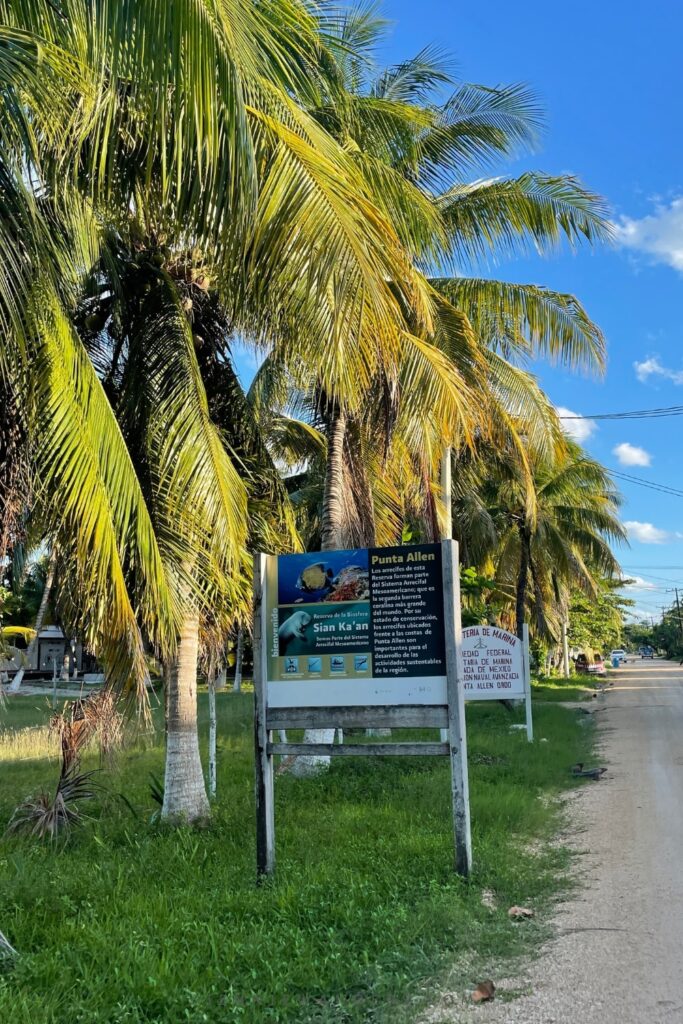Things to do in Punta Allen