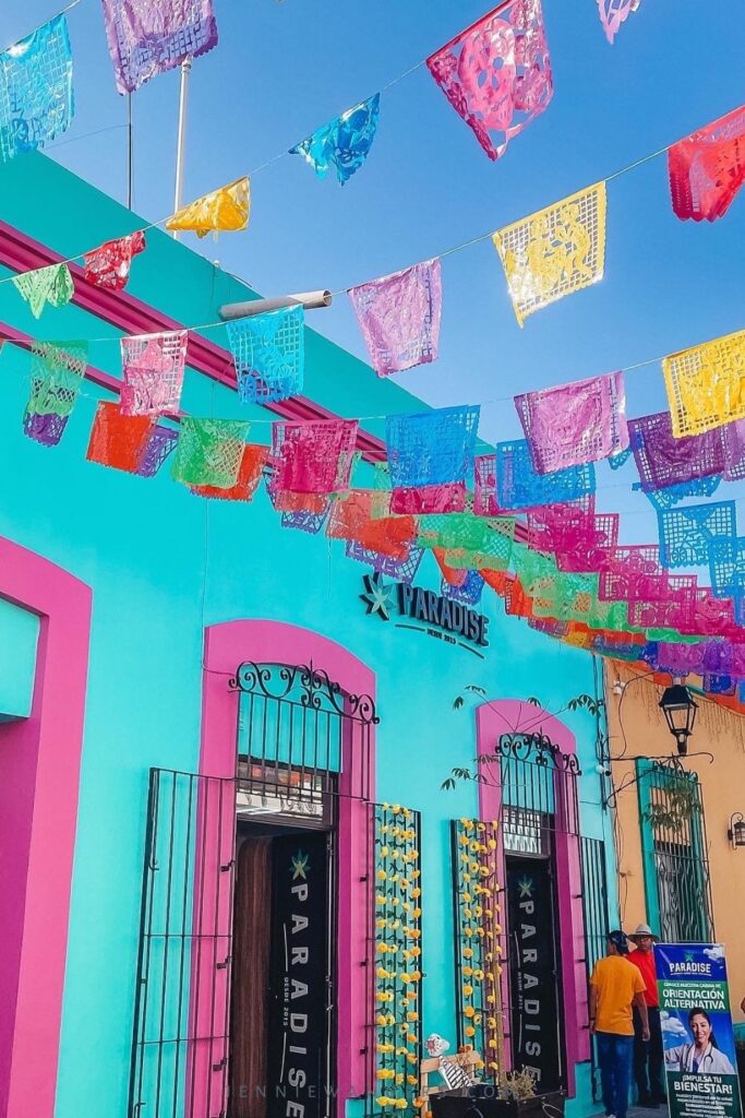 BEST Hostels in Oaxaca