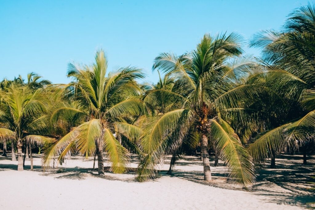 La Punta beach