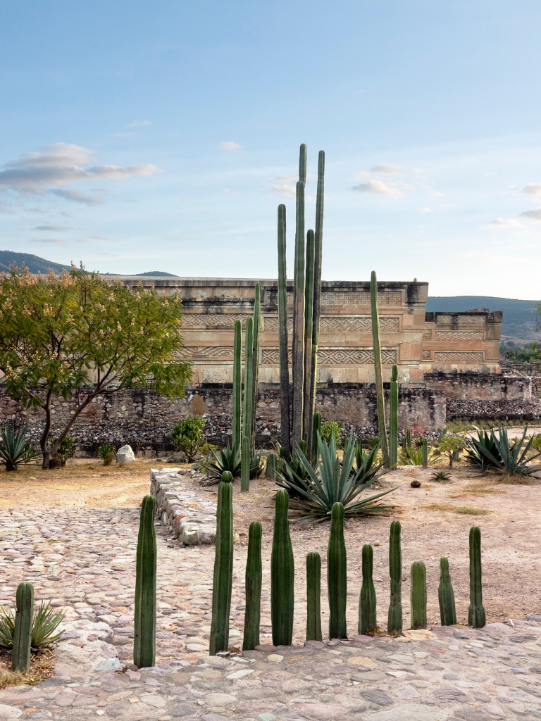 Is There Uber In Oaxaca? How To Get Around On A Budget (2023)