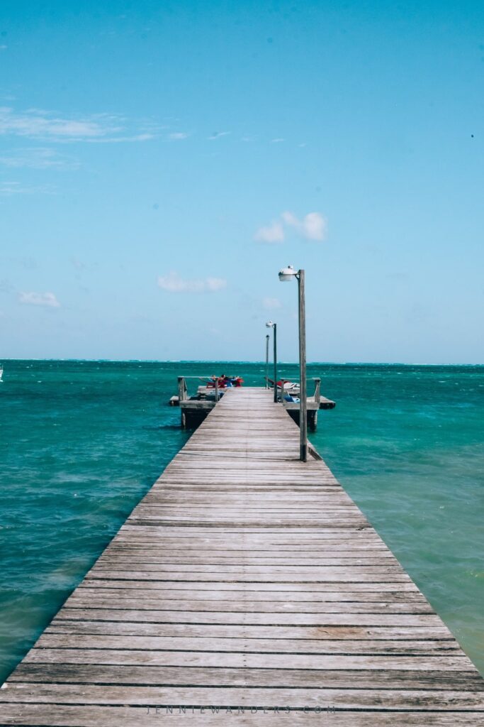 diving tours caye caulker