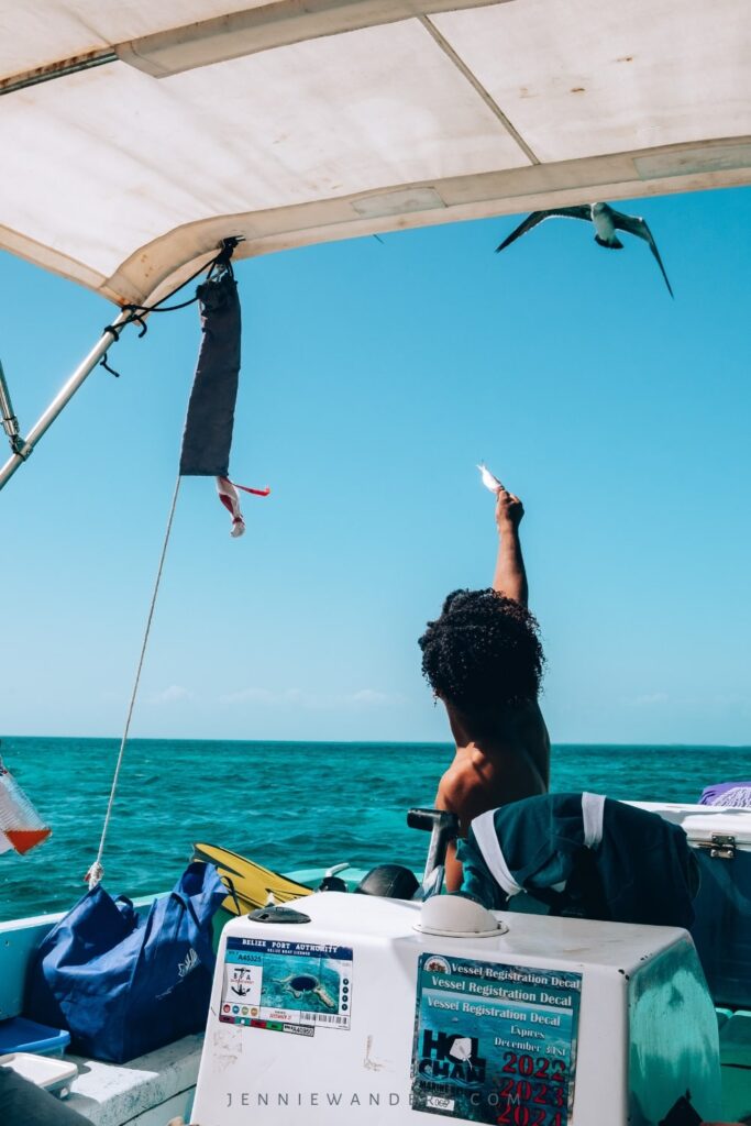 Snorkeling in Caye Caulker Belize