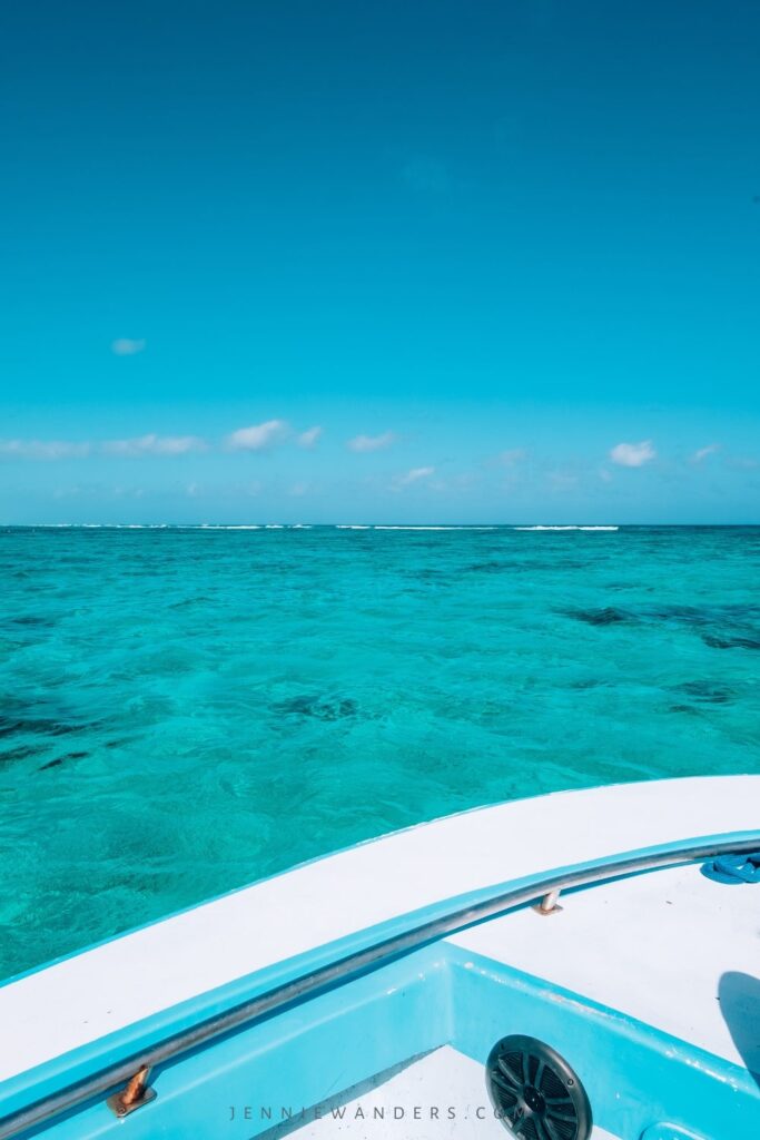 Snorkeling in Caye Caulker