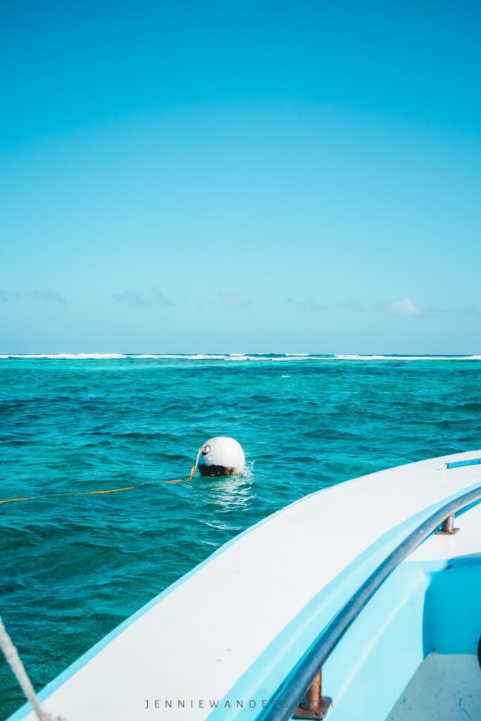 Snorkeling in Caye Caulker