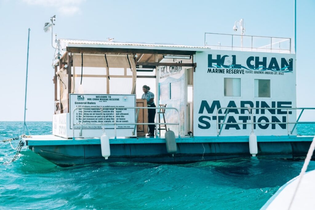 Snorkeling in Caye Caulker