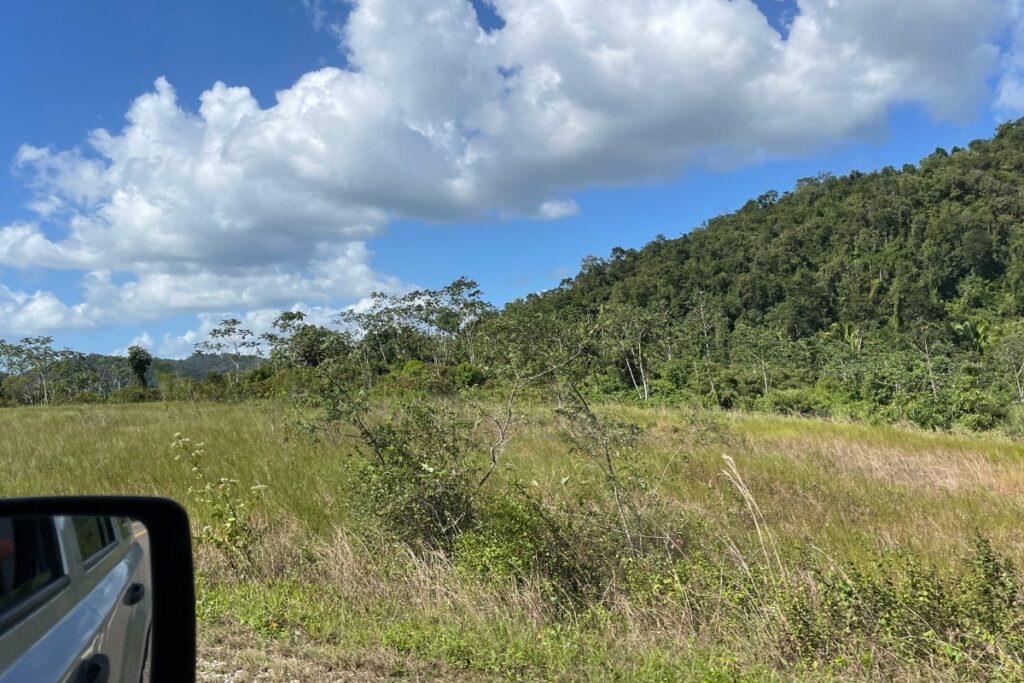Driving in Belize