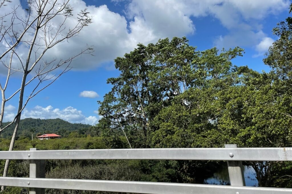 Driving in Belize