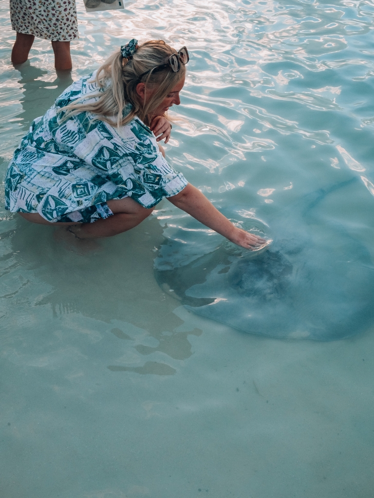 Where To See Stingrays in Caye Caulker: Complete Guide 2023