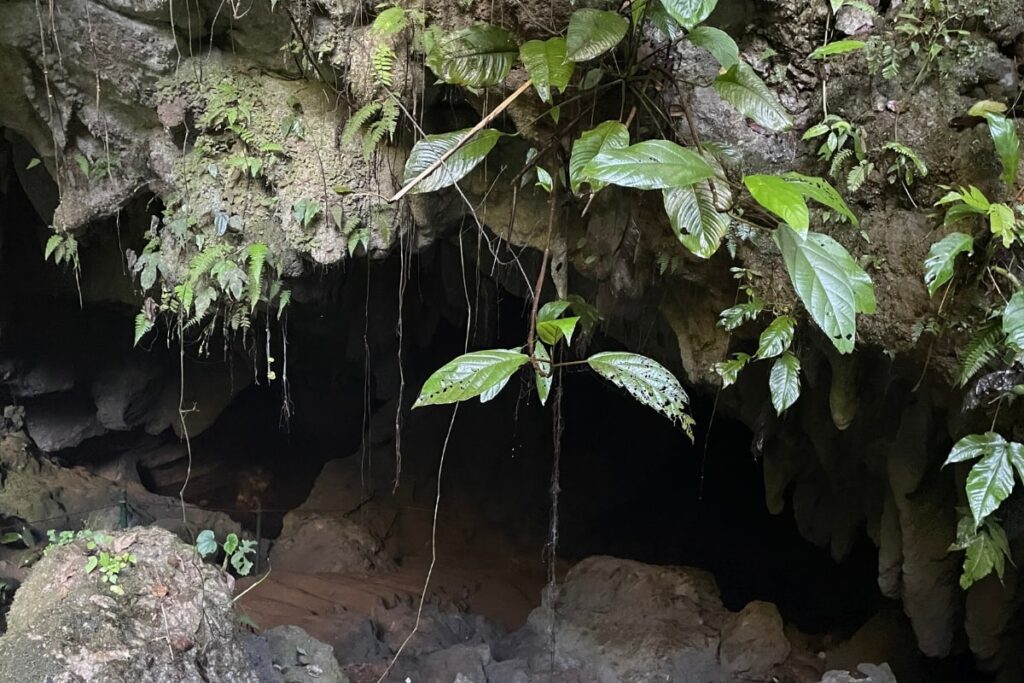 Hummingbird Highway in Belize