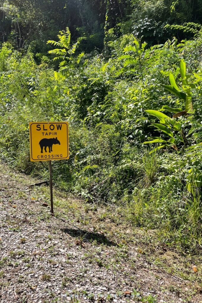 Hummingbird Highway in Belize