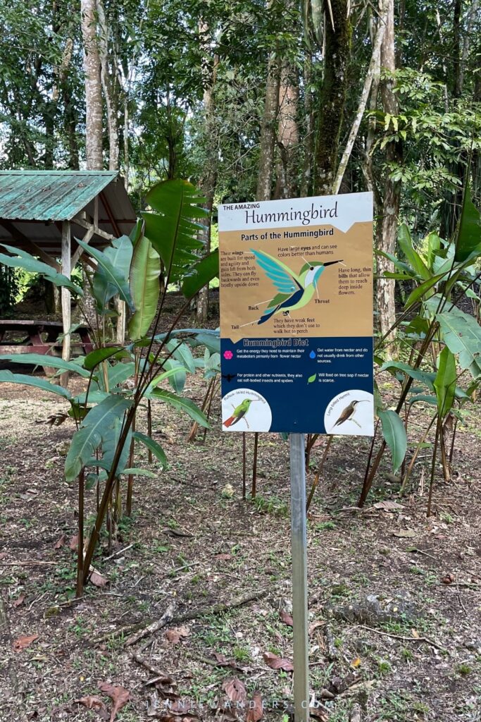 Hummingbird Highway in Belize