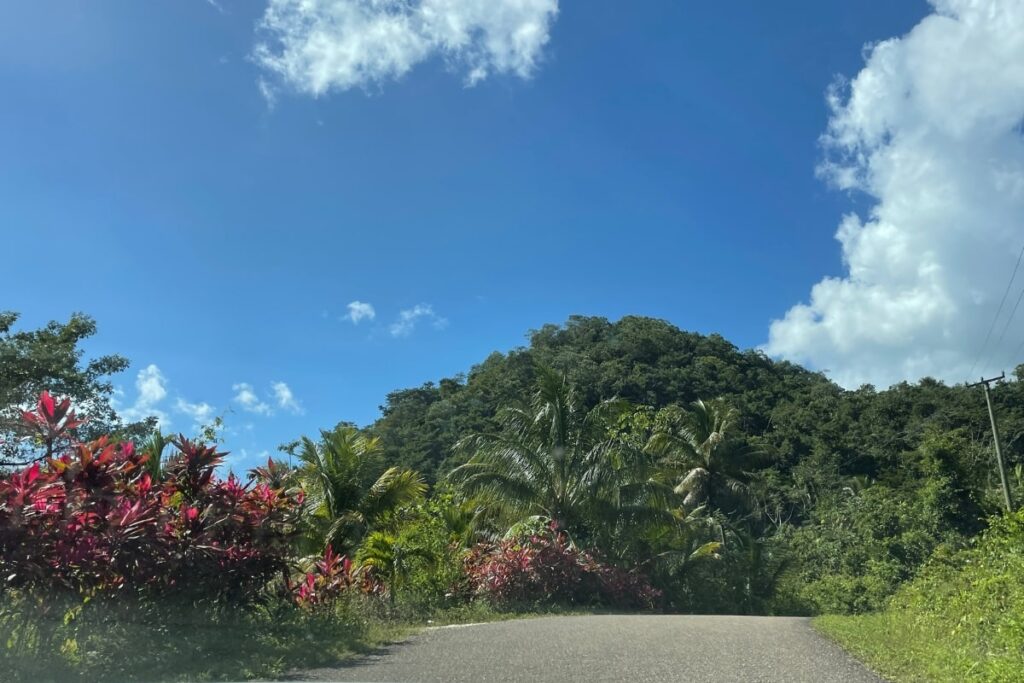 Hummingbird Highway in Belize