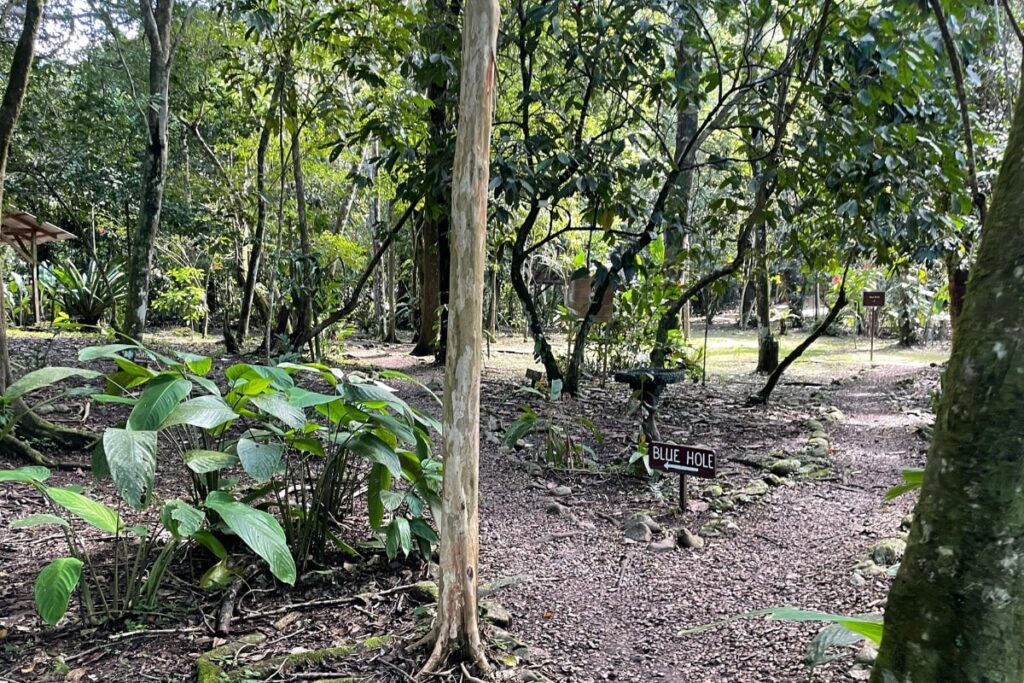 Hummingbird Highway in Belize